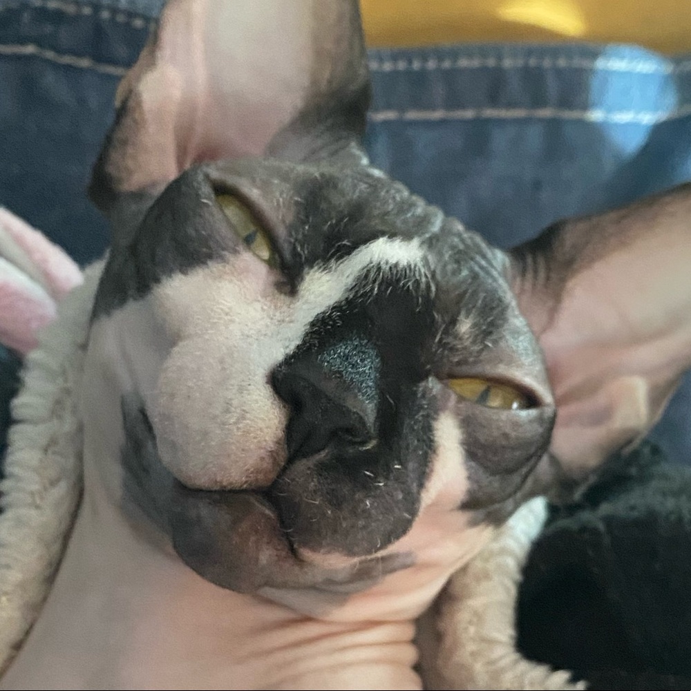 Meet your Posher, Jill